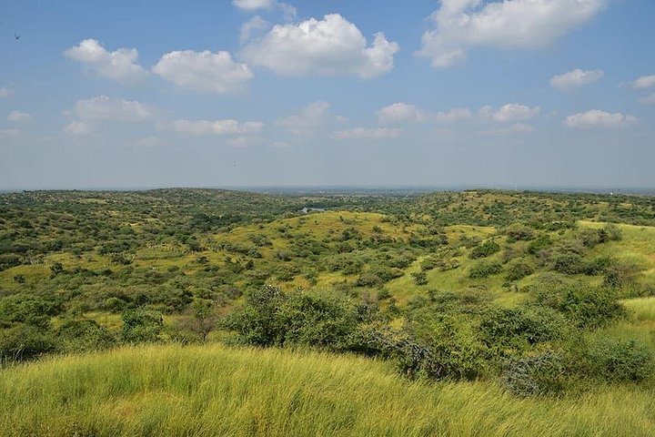 Rajkot ao Parque Nacional Gir