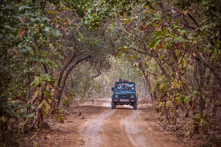 Rajkot ao Parque Nacional Gir