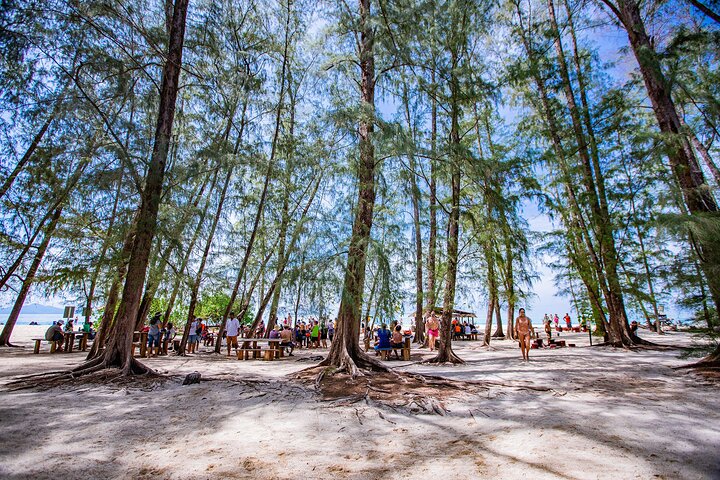 Phi Phi Islands One Day Tour By Speedboat from Krabi