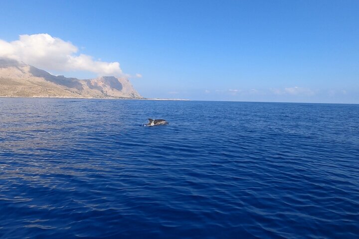 Passeio de barco de 8 horas de Castellammare del Golfo a San Vito Lo Capo
