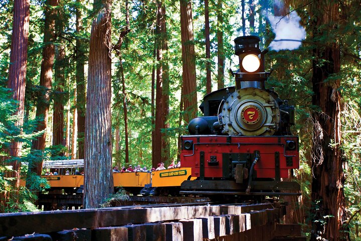 Excursión de un día al tren de vapor de la secuoya y la costa de Santa Cruz