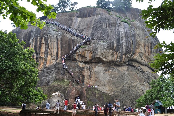 Sigiriya Day Trip with Elephant Safari & Lunch in a Village House