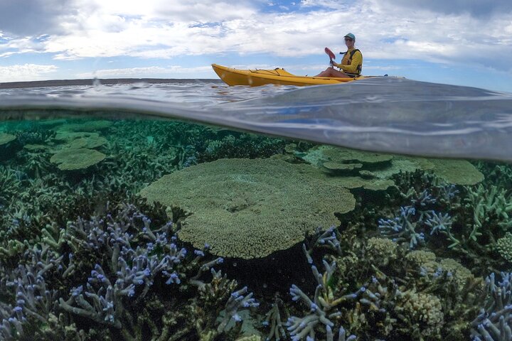 Coral By Kayak - Tour di mezza giornata in kayak e snorkeling della barriera corallina di Ningaloo