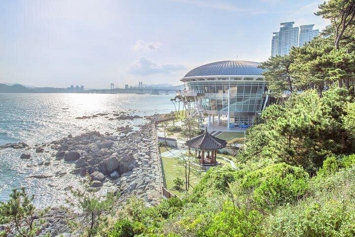 3-Day Busan with FREE itinerary including Hidden areas.