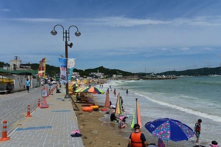 3-Day Busan with FREE itinerary including Hidden areas.