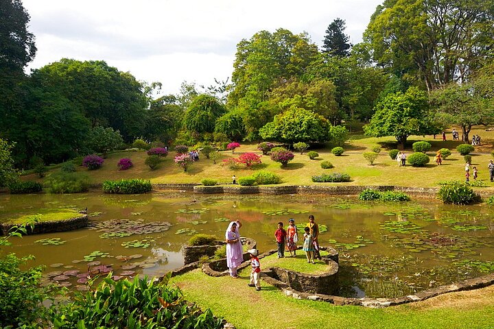 Tour privado de 2 días por Kandy, Sigiriya y Dambulla - Todo incluido