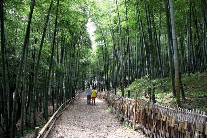4 - Dias Busan + Geoje + Gyeongju UNESCO com Cidades Vizinhas