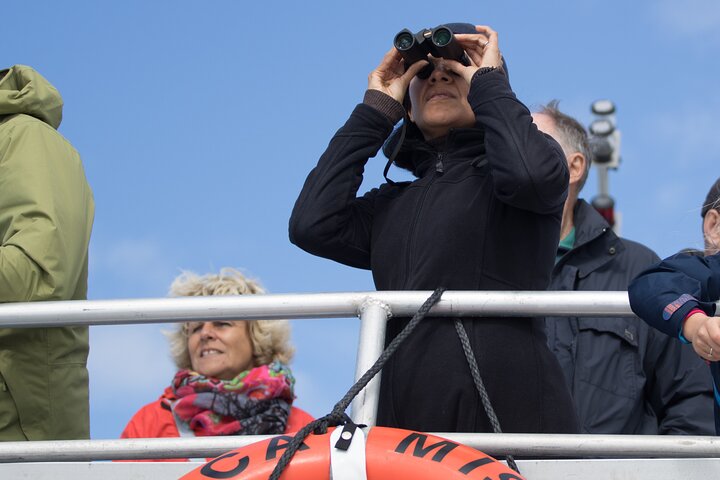 Sommar Victoria Whale Watching Tour på ett täckt fartyg
