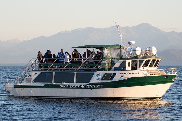 Sommar Victoria Whale Watching Tour på ett täckt fartyg