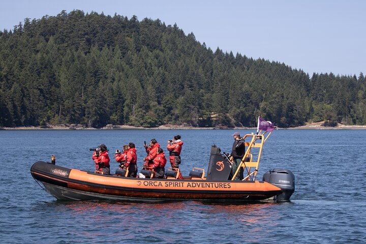 Tour de verão de observação de baleias em um barco do zodíaco em Victoria