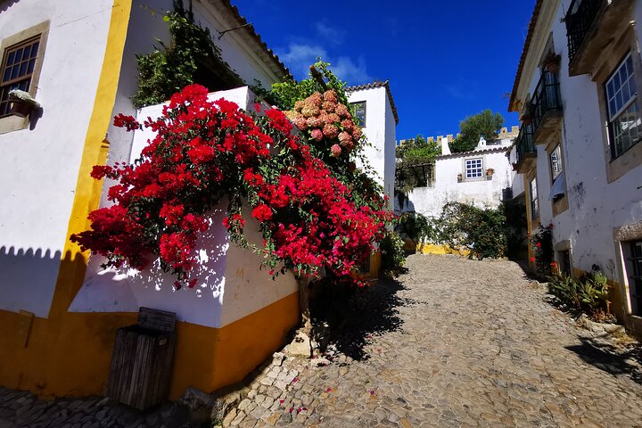 Tomar Fatima Batalha Alcobaca og Obidos fra Nazare Private Tour