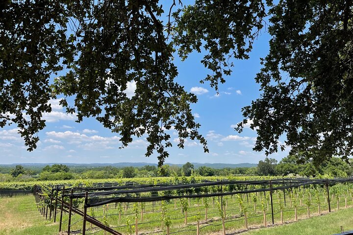 Catas de vinos en el área de Fredericksburg Texas: 3 bodegas y almuerzo