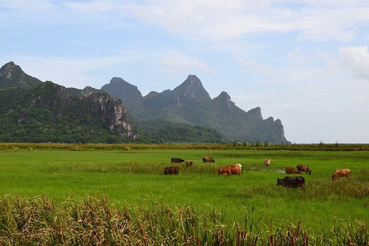 Sam Roi Yod National Park & Praya Nakhon Cave Privat tur fra Hua Hin