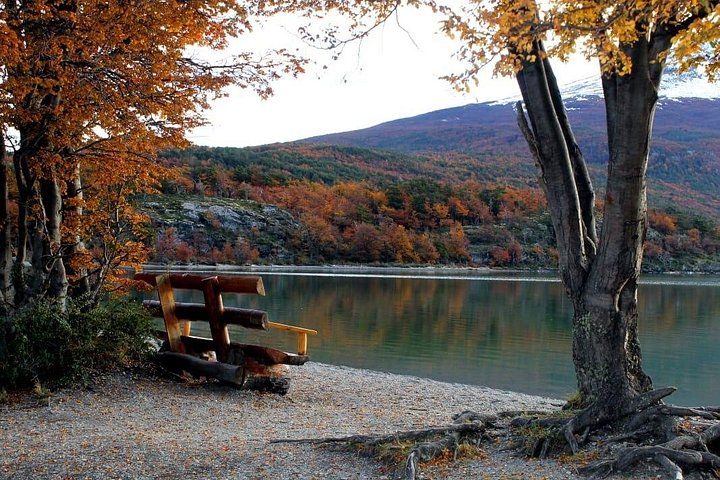 Tour de 5 horas pelo Parque Nacional + Cidade - USHUAIA (Tour Privado)
