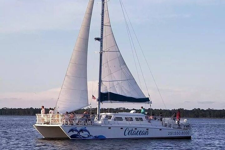 Croisière à voile au coucher du soleil à Orange Beach ADULTE SEULEMENT (13 ANS +)