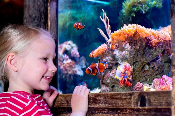 Hoteller i nærheden af SEA LIFE Oberhausen