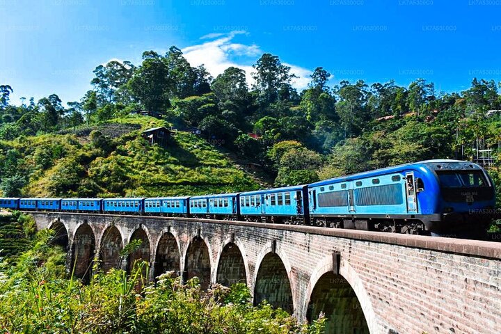 Visite de 2 jours de Yala & Ella avec trajet en train panoramique dans la région des collines - Tout compris