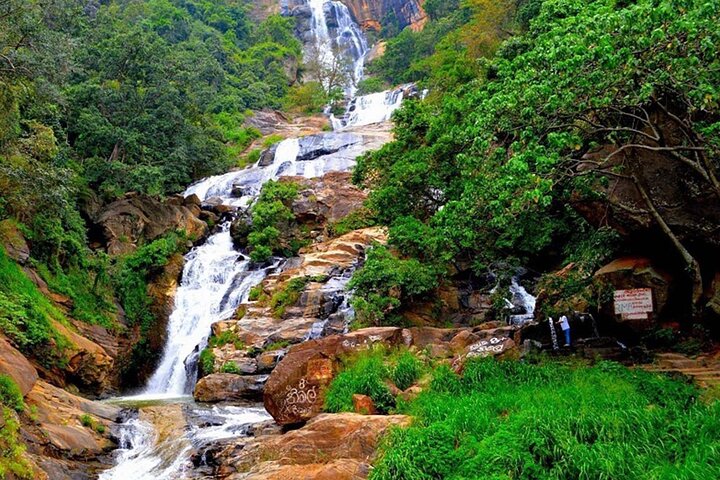 Visite de 2 jours de Yala & Ella avec trajet en train panoramique dans la région des collines - Tout compris