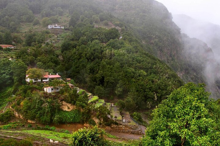 Ganztägige geführte Tour von Teneriffa nach La Gomera