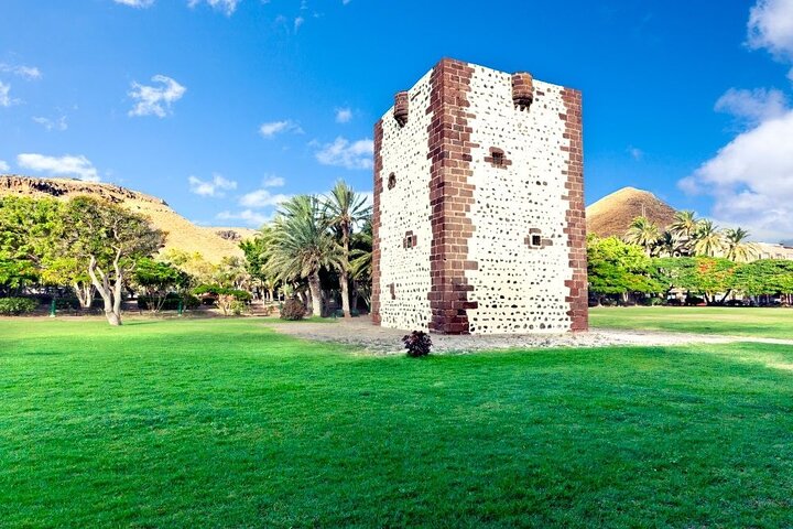 Ganztägige geführte Tour von Teneriffa nach La Gomera