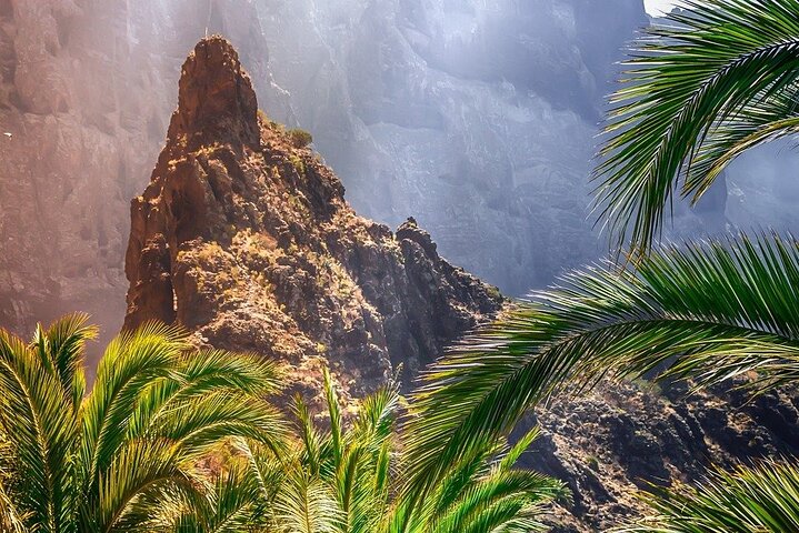 Masca Teide panoramabuss cabriolet heldagstur fra sør