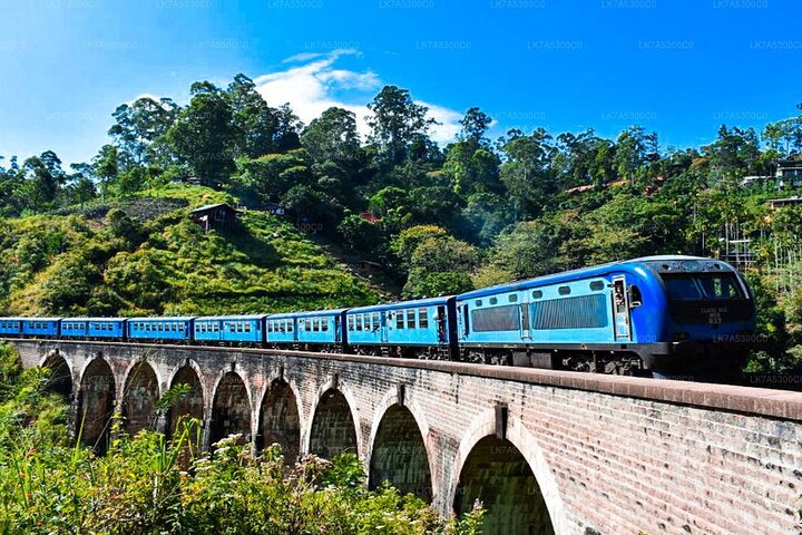2-tägige Tour durch Udawalawe & Ella mit malerischer Zugfahrt durch das Land - All Inclusive