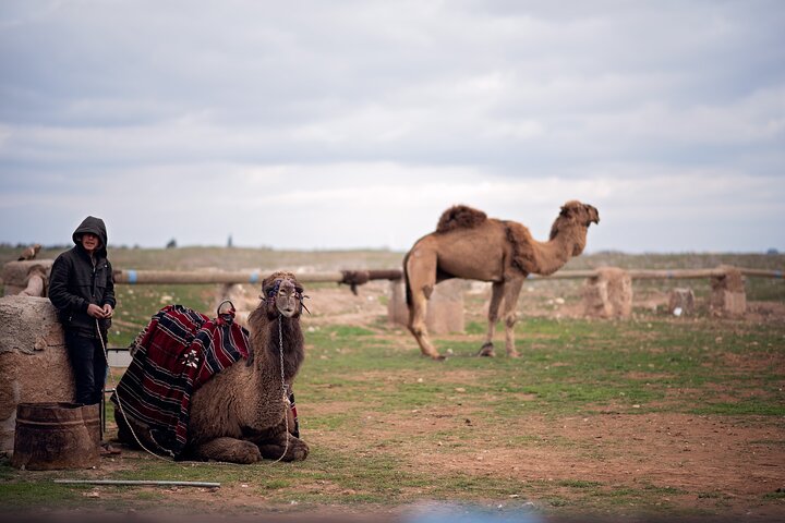 Visita guiada privada de 2 días con todo incluido por Sanliurfa