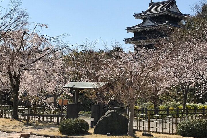 小京都西尾:抹茶と日本初の古典籍博物館を楽しむ