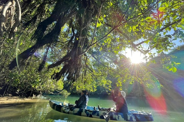 Mangrovekajakken om te genieten van de natuur in Okinawa
