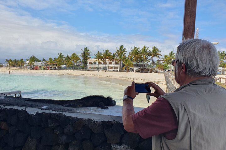 Dagstur til Isabela Island med Tintorera Islet, snorklingvådområder og flamingoer