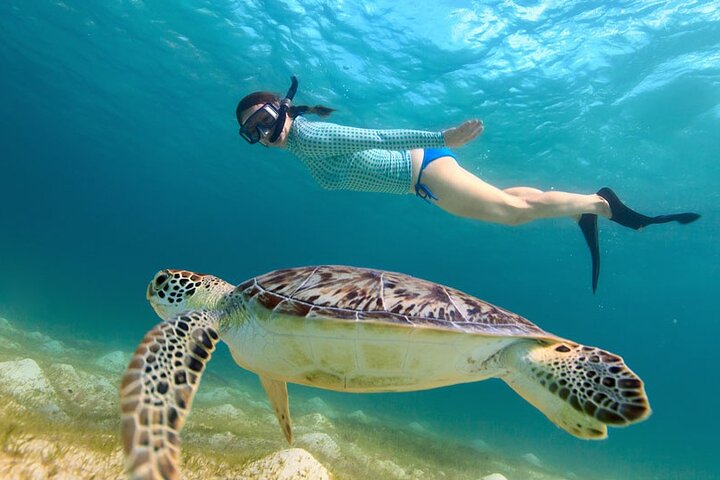 Deluxe Half-Day Snorkel Sail on Luxury Catamaran