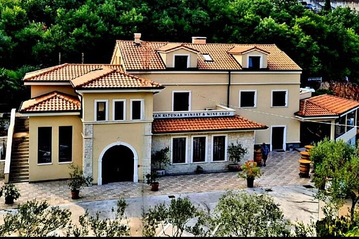Isola di Krk : tour in cantina, degustazione di vini biodinamici e abbinamento gastronomico
