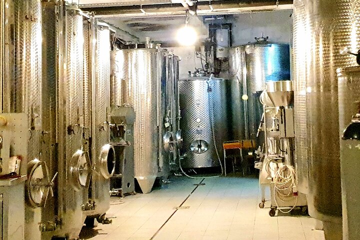 Isola di Krk : tour in cantina, degustazione di vini biodinamici e abbinamento gastronomico
