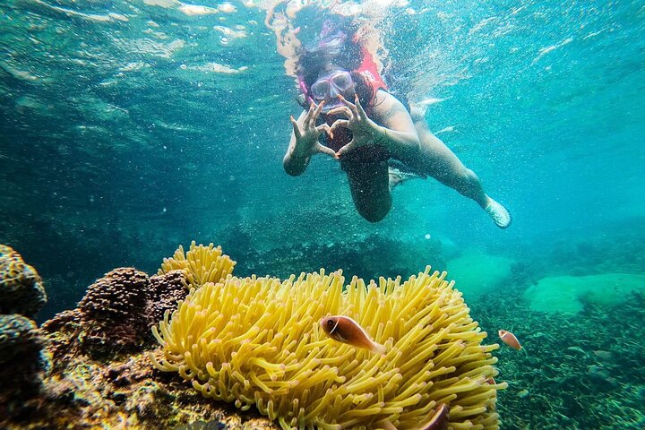 5 eilanden-dagtour rond Koh Tao en Koh Nangyuan