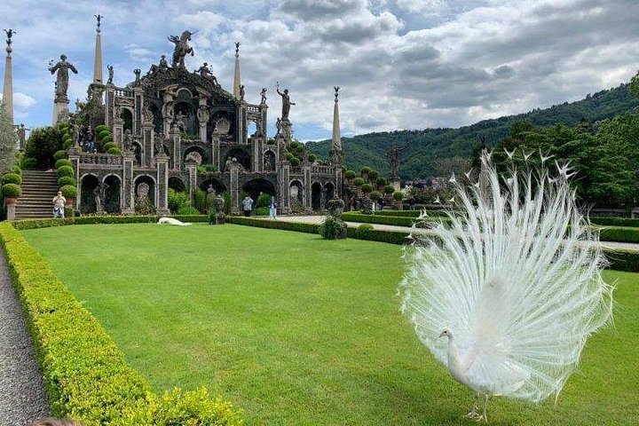 Stresa: Isola Madre & Isola Bella Hopp-på-hopp-av-båttur