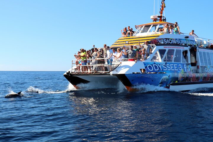 Odyssee 3: O passeio de barco com fundo de vidro em Fuerteventura