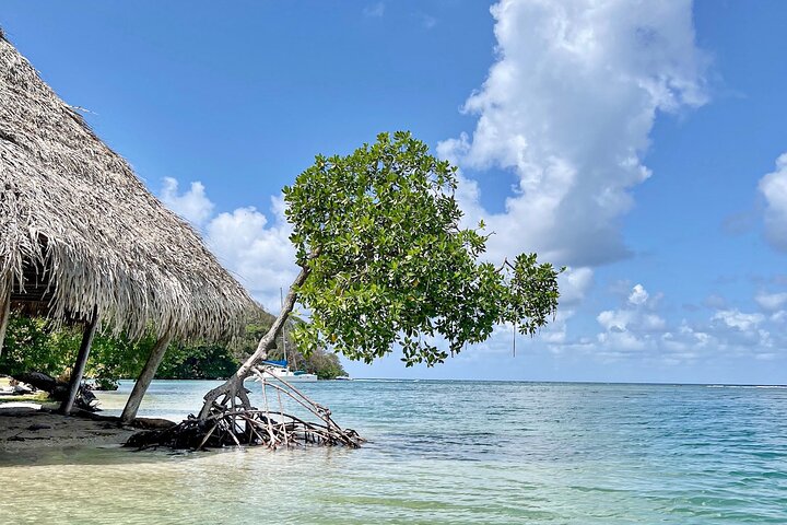 Caribbean Catamaran Day Cruise: Strande, snorkling og frokost