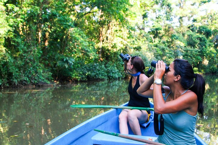 Tortuguero: All Inclusive-pakke 2 netter 3 dager fra San Jose