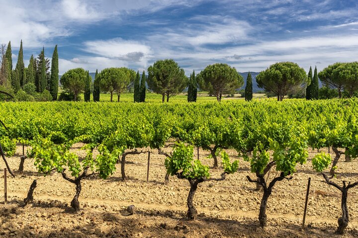 Provence-dagstur med Cassis Village-båttur och lokal vinprovning från Aix