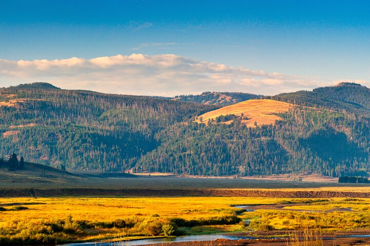 Tour audio di guida autoguidato del Parco Nazionale di Yellowstone