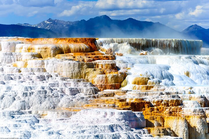 Forfait de visites en voiture autoguidées à Grand Teton et Yellowstone