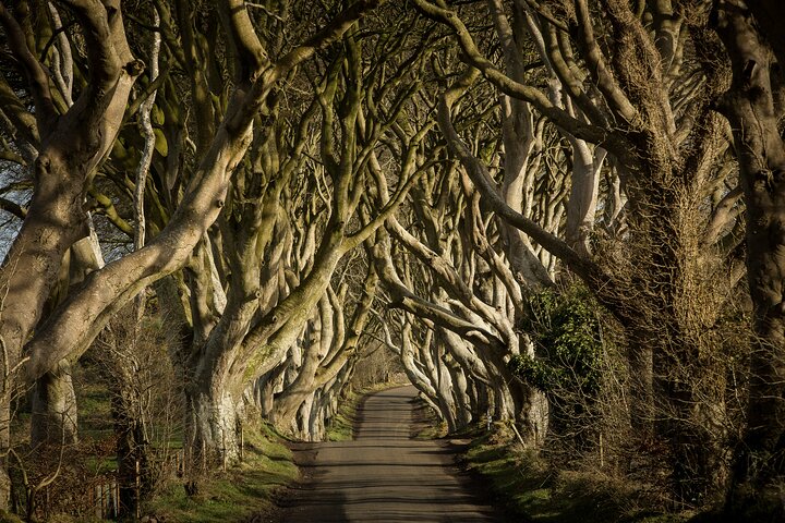 Chauffeur Giants Causeway og Belfast Private Day Tour fra Dublin