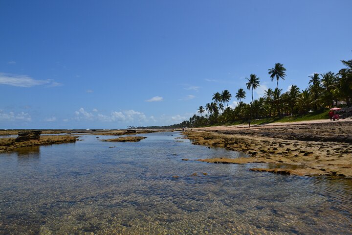 Privat transfer fra Porto de Galinhas til Recife lufthavn