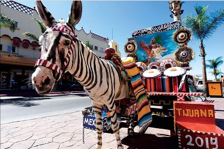 Privat heldags guidet tur i Tijuana