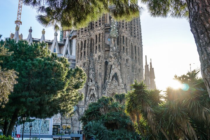 Barcelona all included: Sagrada, Park Guell, Montjuic & Gothic