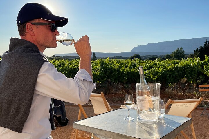 Excursion privée d'une journée en Provence au départ du port de croisière de Toulon