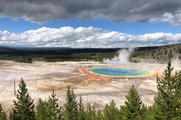 Visite privée de Yellowstone : sites emblématiques, faune, randonnées familiales + déjeuner