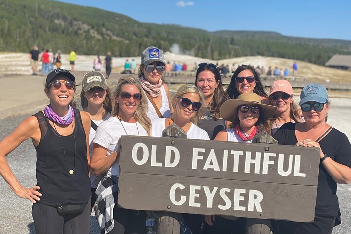 Visite privée de Yellowstone : sites emblématiques, faune, randonnées familiales + déjeuner