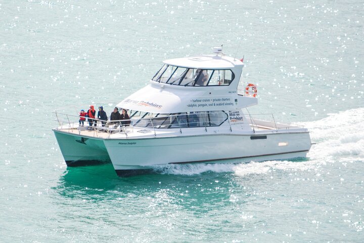 Delfines de Akaroa ~ Crucero por la naturaleza