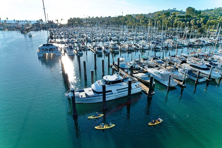 Wildlife Kayak Tour em Porto de Santa Barbara (2 horas)